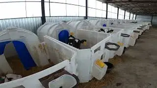 Построили новый телятник! Запускаем ферму с баранами!