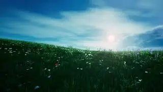 Unreal Engine 4.27 | A tiny bit of peace |