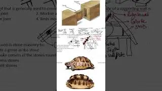 Architectural Assistant previous year question paper #joint #birdmouth #DDA #gatearchitecturevijen
