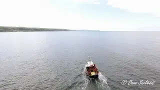 An hour on the Shore