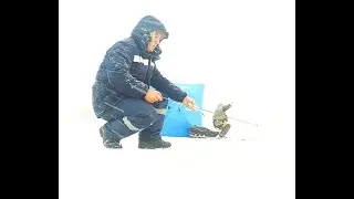 Открыл сезон зимней рыбалки, ловля корюшки на Сахалине / Зимняя рыбалка #рыбалка #сахалин