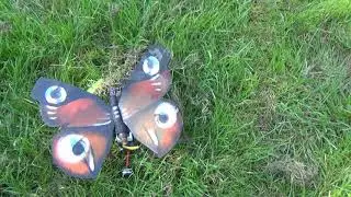 Butterfly - Drone