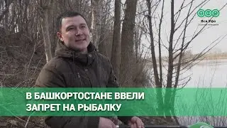 В Башкортостане ввели запрет на рыбалку
