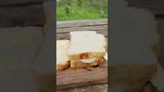 double cheese and onion toasty