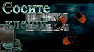 Квест у Доктора Сосенко в Сталкрафт | STALCRAFT