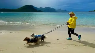 Вся Норвегия за час ролика:) НордКап, Лофотены, фьорды… трое в лодке и 5 собак 😄 🇳🇴