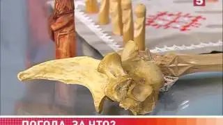 Шаман Дмитрий Ильин в программе 