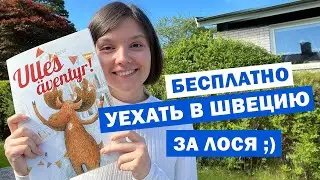 Швеция: идеальная страна 🇸🇪 Моя история