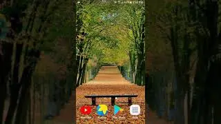 How to Download HD Images from Pinterest app to Gallery in Tamil