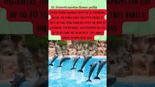 PART 3 - How can you save and protect animals 