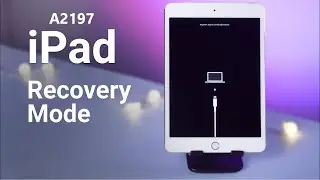 iPad A2197 iTunes Error 4013 Solution