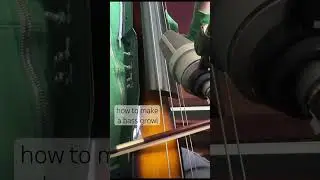 Bass GROWL. Pluck the string hard then slide bow up towards the nut. #shorts #composer #uprightbass