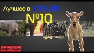 Лучшее в Coub #10