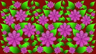 Animated growth pink flowers and green leaves on a red background. Plant evolution. Cartoon. Banner.