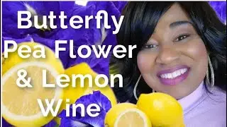 Butterfly Pea Flower & Lemon Wine - 15