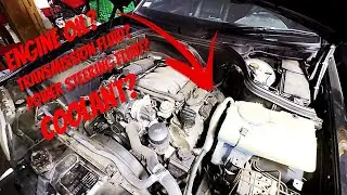 What's Leaking??? | W202 Mercedes C280
