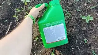 Вносимо грамініцид від злакових🤢🤮🤮🚜