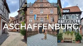 Tagesausflug nach Aschaffenburg | Sehenswürdigkeiten | Urlaub mit Hund | Deutschlandticket