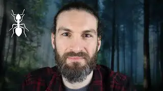 Krafttier Ameise - Schamanismus mit Benjamin Maier