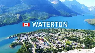 WATERTON Alberta Canada 🇨🇦 Travel