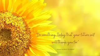 I'm Gonna Let The Sunshine In Today -LOVING CALIBER