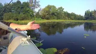 Красноперка на попла поппер Ивва