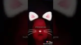 Даша