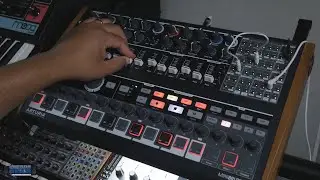 Going Modular...Again? - MiniBrute 2S, Qu-Bit Chord, & Korg SQ-1