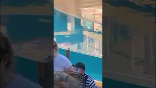 Tom the Mime Antics