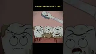 Way to brush your teeth