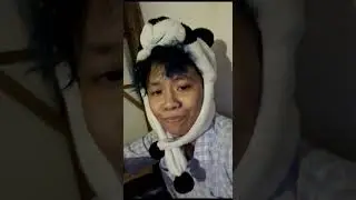 pupies