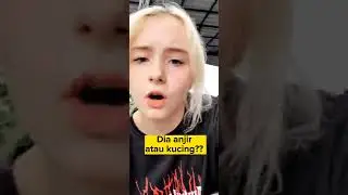 Are Indonesian cats🇮🇩 afraid of Bonteng🥒Bule Barbie loves Sundanese people