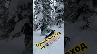 Горный снегоход в деле! 