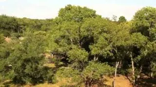 View From The Top