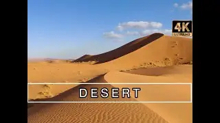 🐪Desert on Africa! Vibes desert and sand!