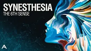 Synesthesia: The 6th Sense