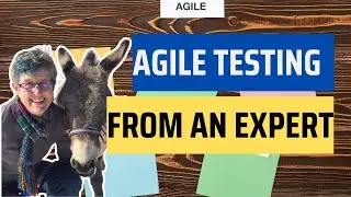 An Introduction to Agile Testing |  Interview with Lisa Crispin