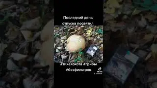 Последний день отпуска посвятил 