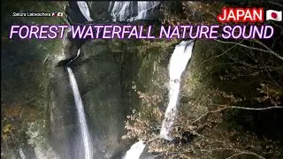 Forest Waterfall Sound || Nature Waterfall Sound 