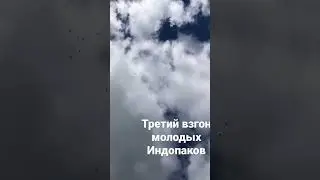 13 сентября 2022 г.