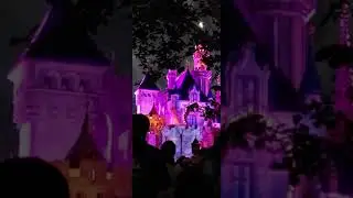 DISNEYLAND 2022