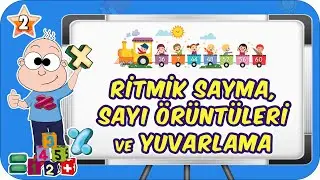 Ritmik Sayma, Sayı Örüntüleri ve Yuvarlama 📘 2.Sınıf Matematik 