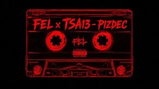 FEL x TSA13 - PIZDEC