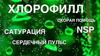 Хлорофилл жидкикй польза, как принимать хлорофилл нсп