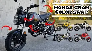 Honda GROM | Body Panel Color Swap