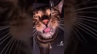 Как бросить пить!!! 