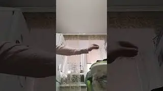 6 июня 2023 г.
