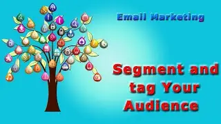 Segment and tag Your Audience
