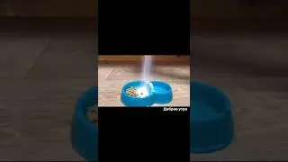 #приколы