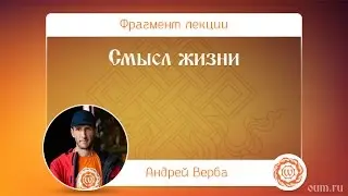 Смысл жизни. Андрей Верба